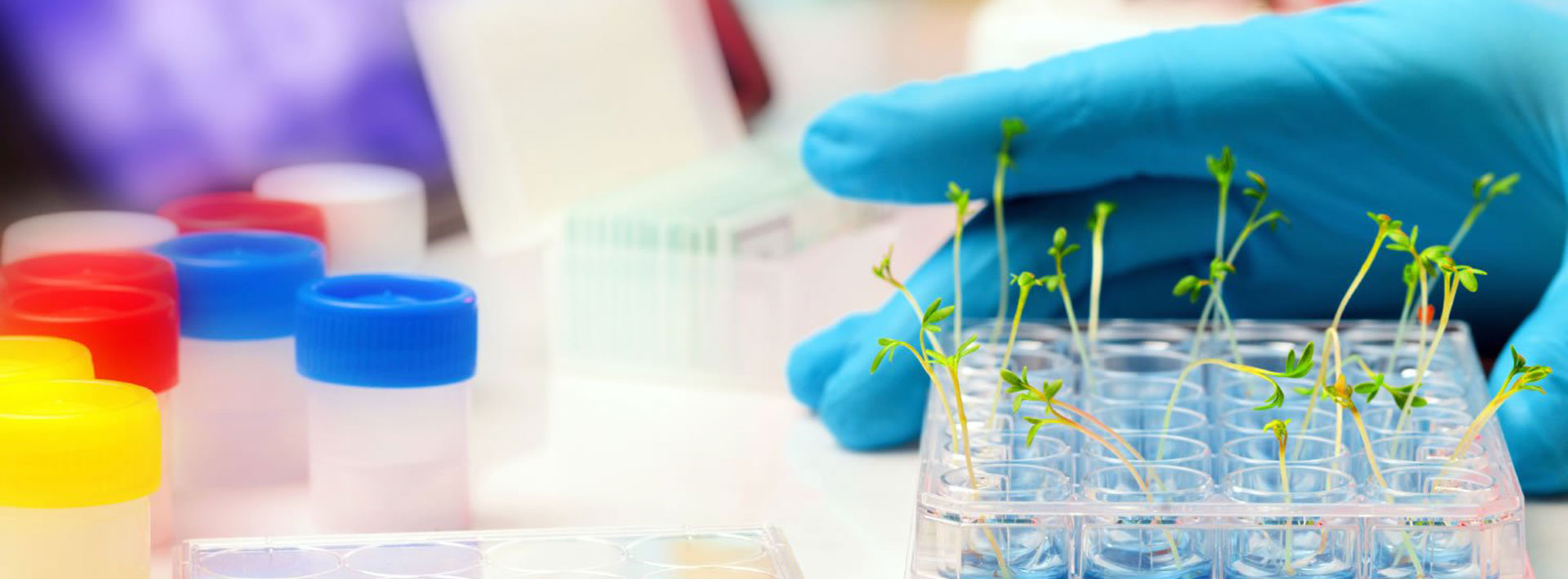 ATAS Laboratories LLP fertilizer lab setup